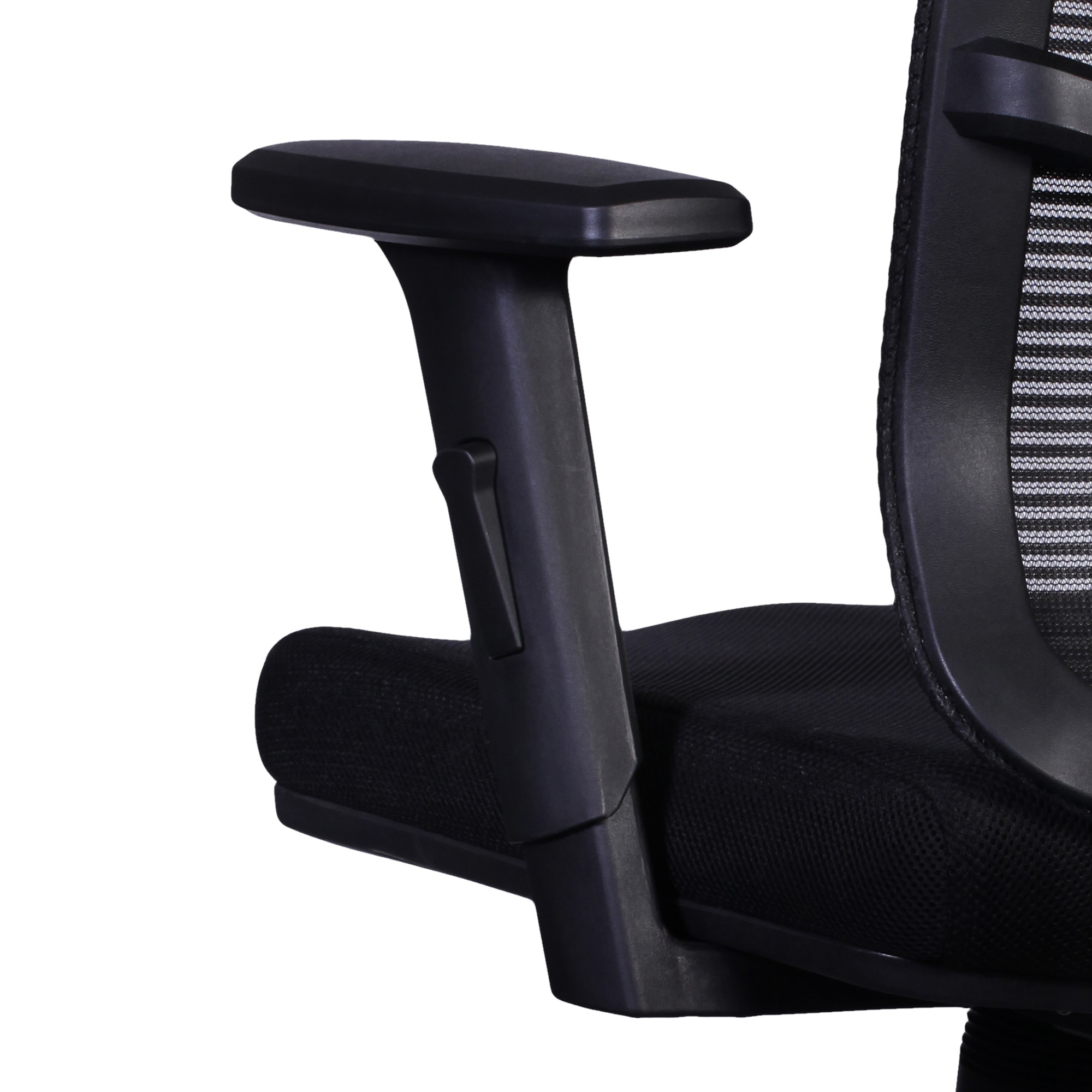 02 Certo_1D Arm 2000x2000